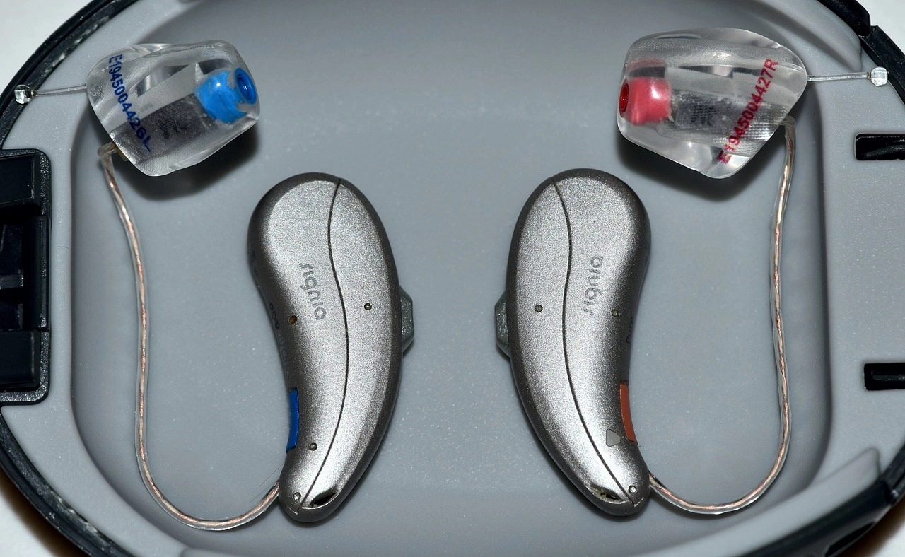 Silver metallic hearing aids