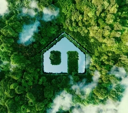 fullwidth7