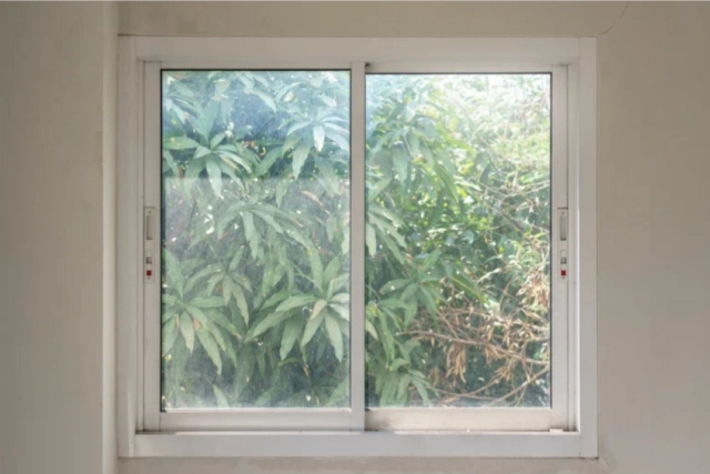 windows