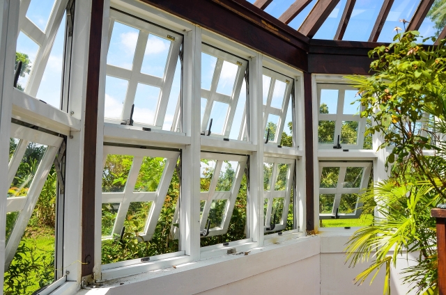 Windows